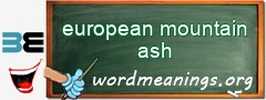 WordMeaning blackboard for european mountain ash